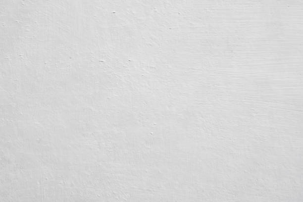 Best Emergency Mold Remediation  in Logansport, LA