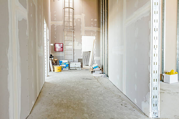 Best Black Mold Removal  in Logansport, LA